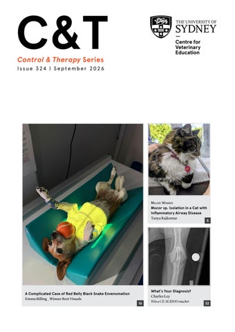C&T Series Issue 324