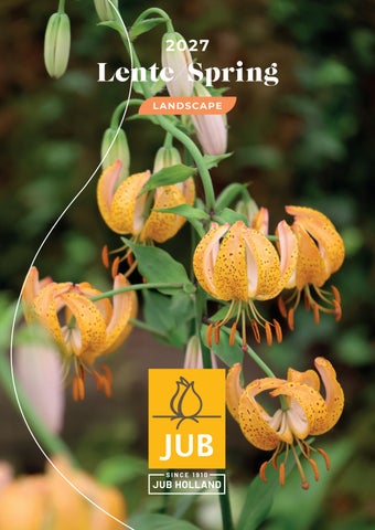 Landscape catalogus VJ27