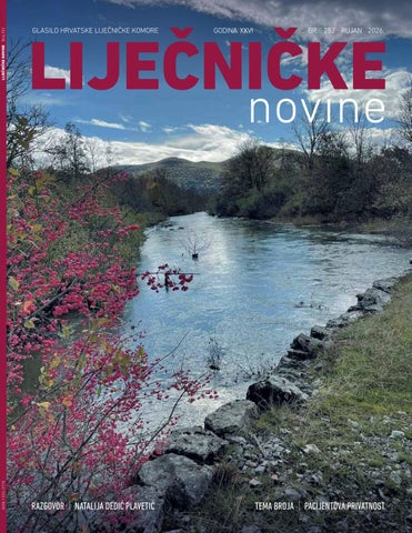 Liječničke novine br. 252
