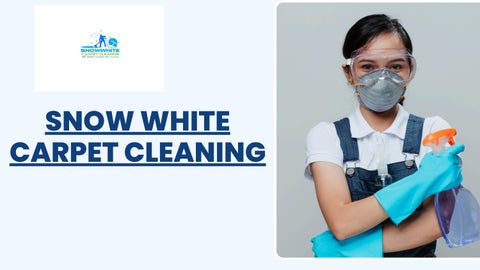 Trusted Carpet Cleaning Company in Perth