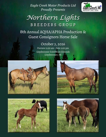 Northern Lights Breeders Group Inc AQHA/APHA Production & Consignment Horse Sale - Lloydminster, SK