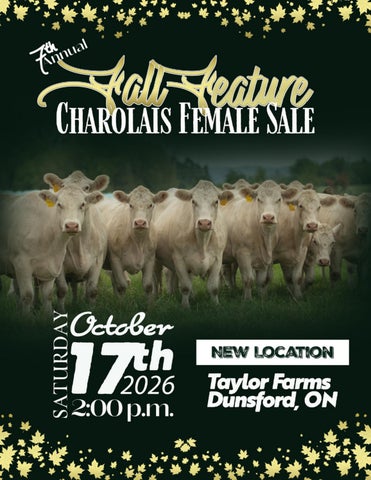 Fall Feature 2026 - Catalogue - WEB