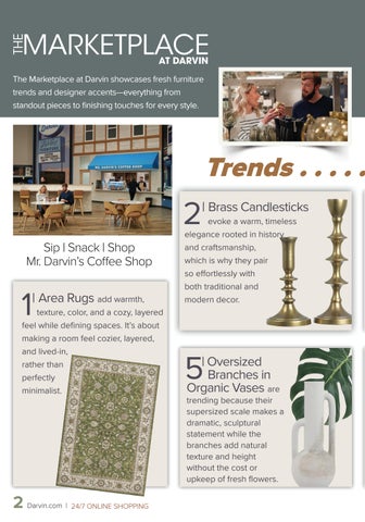Darvin 家具 Area Rugs × Accessory Trends 第 2 页