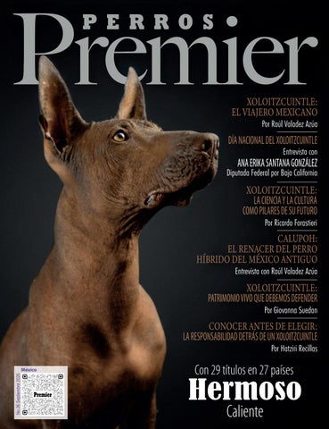 PERROS PREMIER No 36