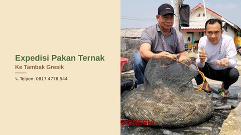 Expedisi Pakan Ternak Ke Tambak Gresik , Tlp 0817 4778 544, TEPAT..!!
