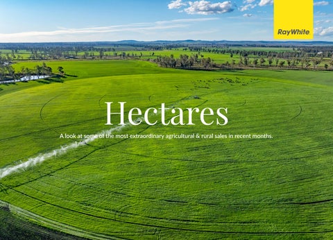 Hectares 2026