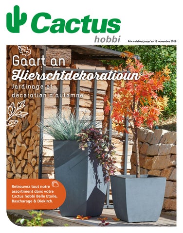 Catalogue jardinage et décoration d'automne