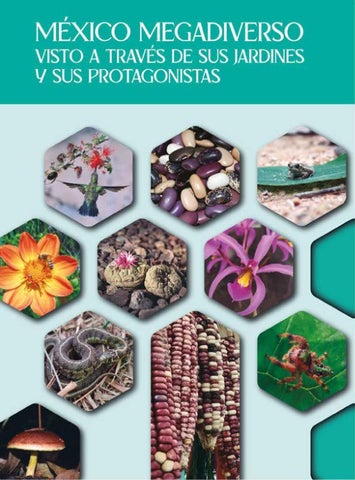 libro_me_xico_megadiverso_visto_a_trave_s_de_sus_jar