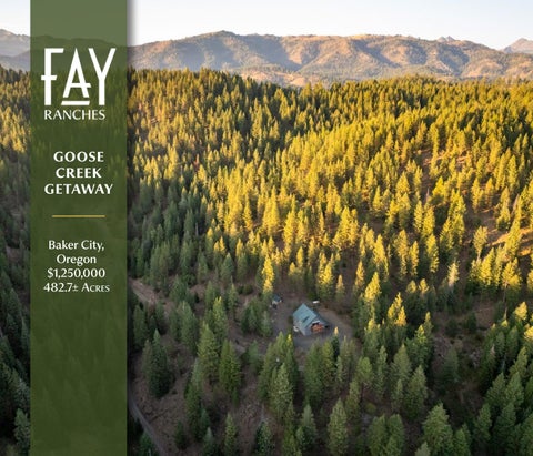 Goose Creek Getaway | Fay Ranches