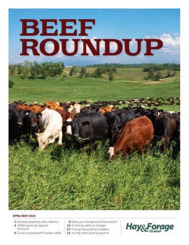 HFG Beef Roundup Apr_May 2026