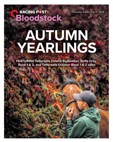 Autumn Yearlings 2026 Racing Post Bloodstock
