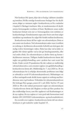 Konkursrett: Kort forklart 2. utgave 第 17 页