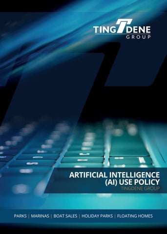 Tingdene AI Policy Document