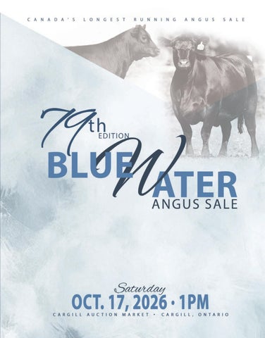 79th Edition Bluewater Angus Sale