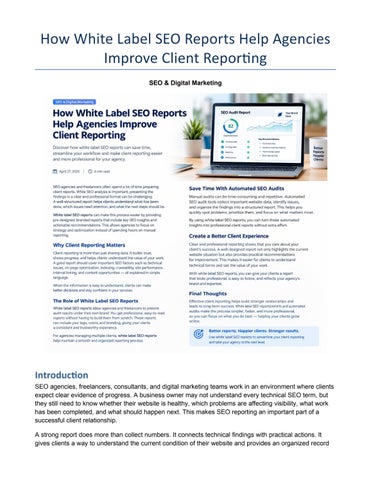 white_label_seo_reports_2500_3000_word_article