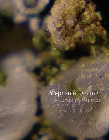 Stephanie Deumer - Photosynthetics