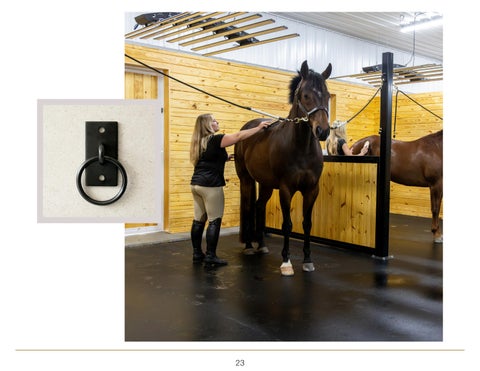 The Tack Room 灯饰产品集 第 23 页