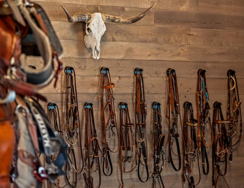 The Tack Room 灯饰产品集 第 6 页