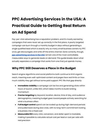 PPC Advertising Services in the USA_ A Practical Guide to Getting Real Return on Ad Spend