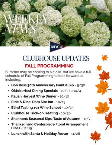 BHYC Weekly Newsletter