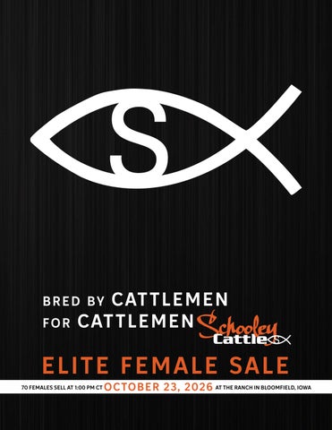 2026 Schooley Cattle Female Sale