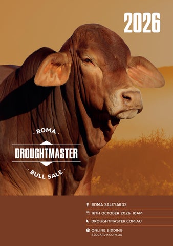 Roma Droughtmaster Bull Sale 2026