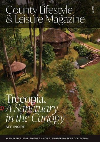Issue 89