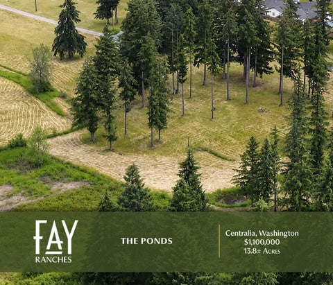 The Ponds | Fay Ranches