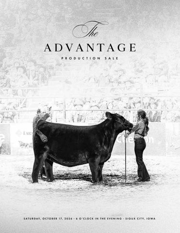 The Advantage Production Sale | Udell Cattle Company