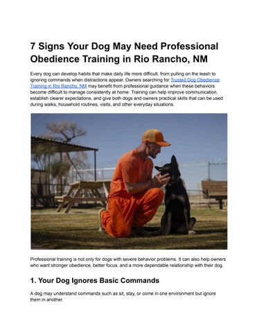 7 Signs Your Dog May Need Professional Obedience Training in Rio Rancho, NM