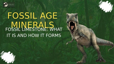 Fossil Limestone: What It Is and How It Forms