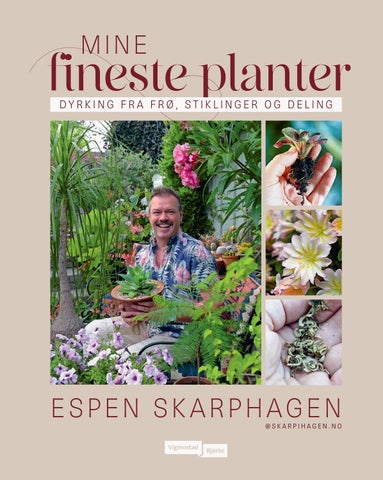 Mine fineste planter (9788241969157)