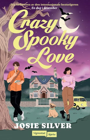Crazy, Spooky Love (9788241967542)