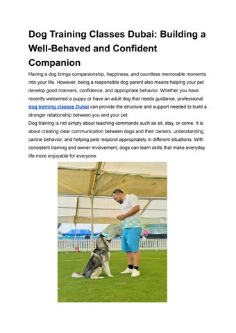 dog training classes dubai