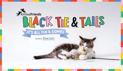Animal Friends BT&T Digital Program