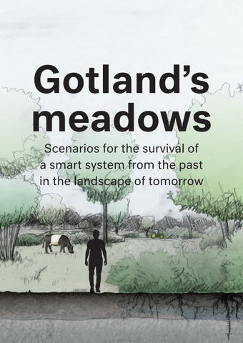 Bregt balk - Graduation booklet Gotland's meadows Bregt Balk