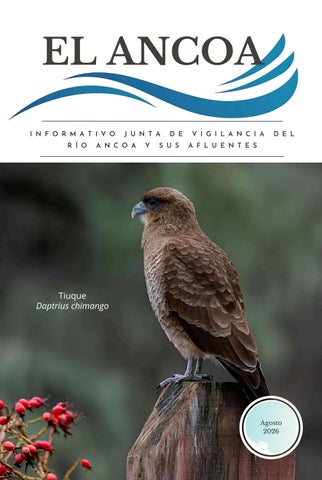 El Ancoa. Informativo N° 199/año 26