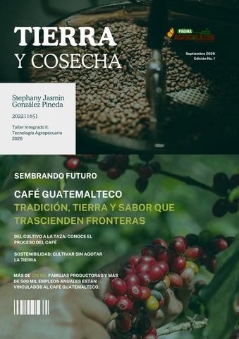 Revista Editorial 