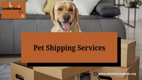 Pet Shipping Services