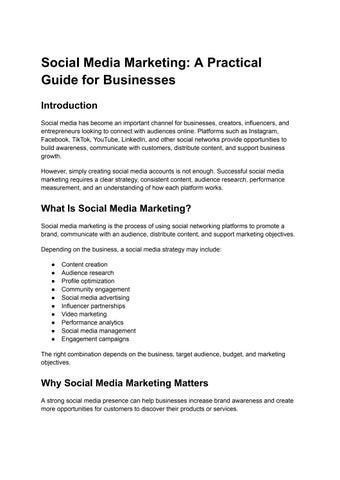website audit
