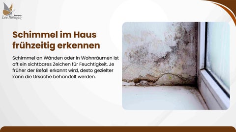 Schimmel im Haus frühzeitig erkennen