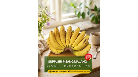Supplier Pisang Berlin di Malang