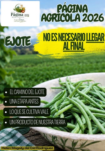 Revista Página Agrícola 2026