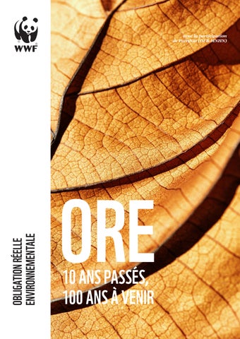 10 ans des ORE