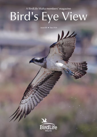 Bird's Eye View Issue 89 September 2026