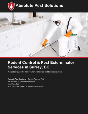 Rodent Control Surrey BC Absolute Pest Solutions for Safer Homes