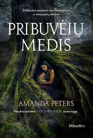 PRIBUVĖJŲ MEDIS