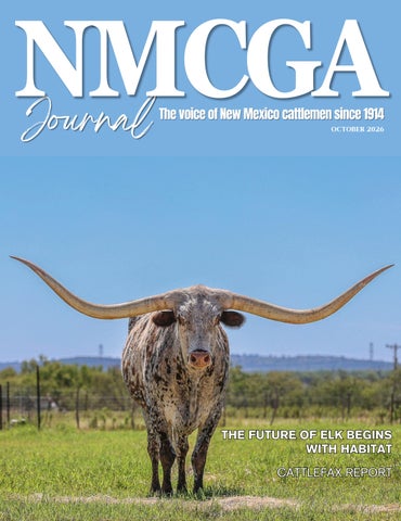 NMCGA Journal - October 2026