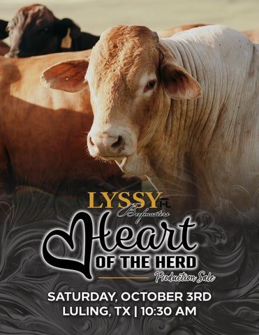 2026 Lyssy's Heart of the Herd Catalog