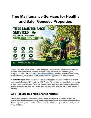 Tree Maintenance Services for Healthy and Safer Geneseo Properties